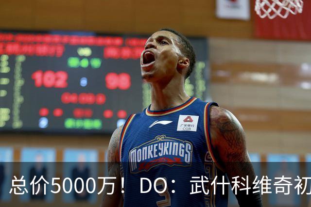 总价5000万！DO：武什科维奇初始转会费4600万镑，热刺有二转分成
