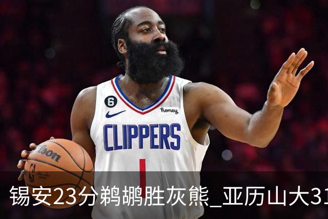 锡安23分鹈鹕胜灰熊 亚历山大31+10雷霆屠公牛